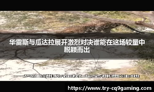 华雷斯与瓜达拉展开激烈对决谁能在这场较量中脱颖而出